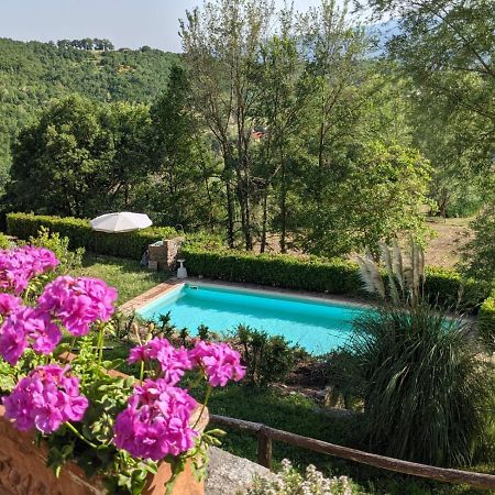 Agriturismo Casentino - Fattoria Ventrina Martina Exterior photo