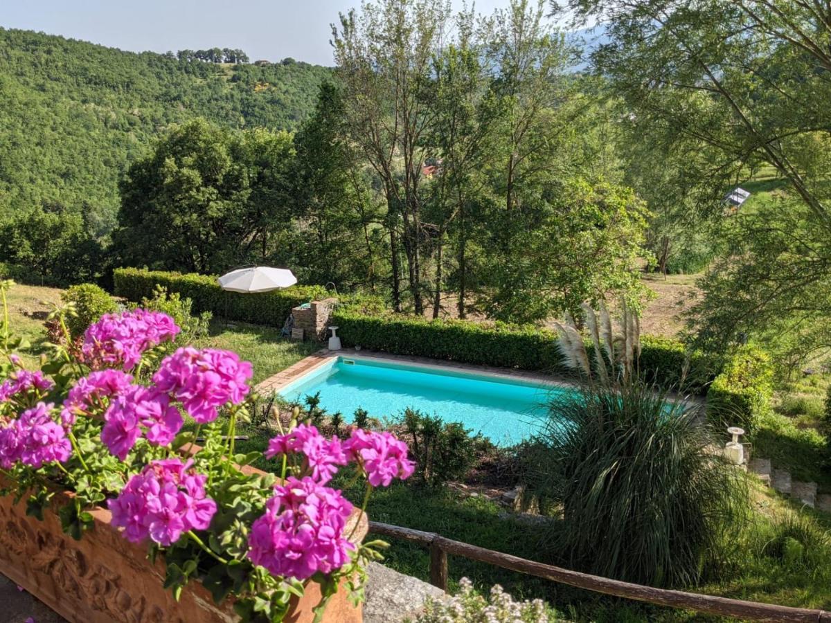 Agriturismo Casentino - Fattoria Ventrina Martina Exterior photo