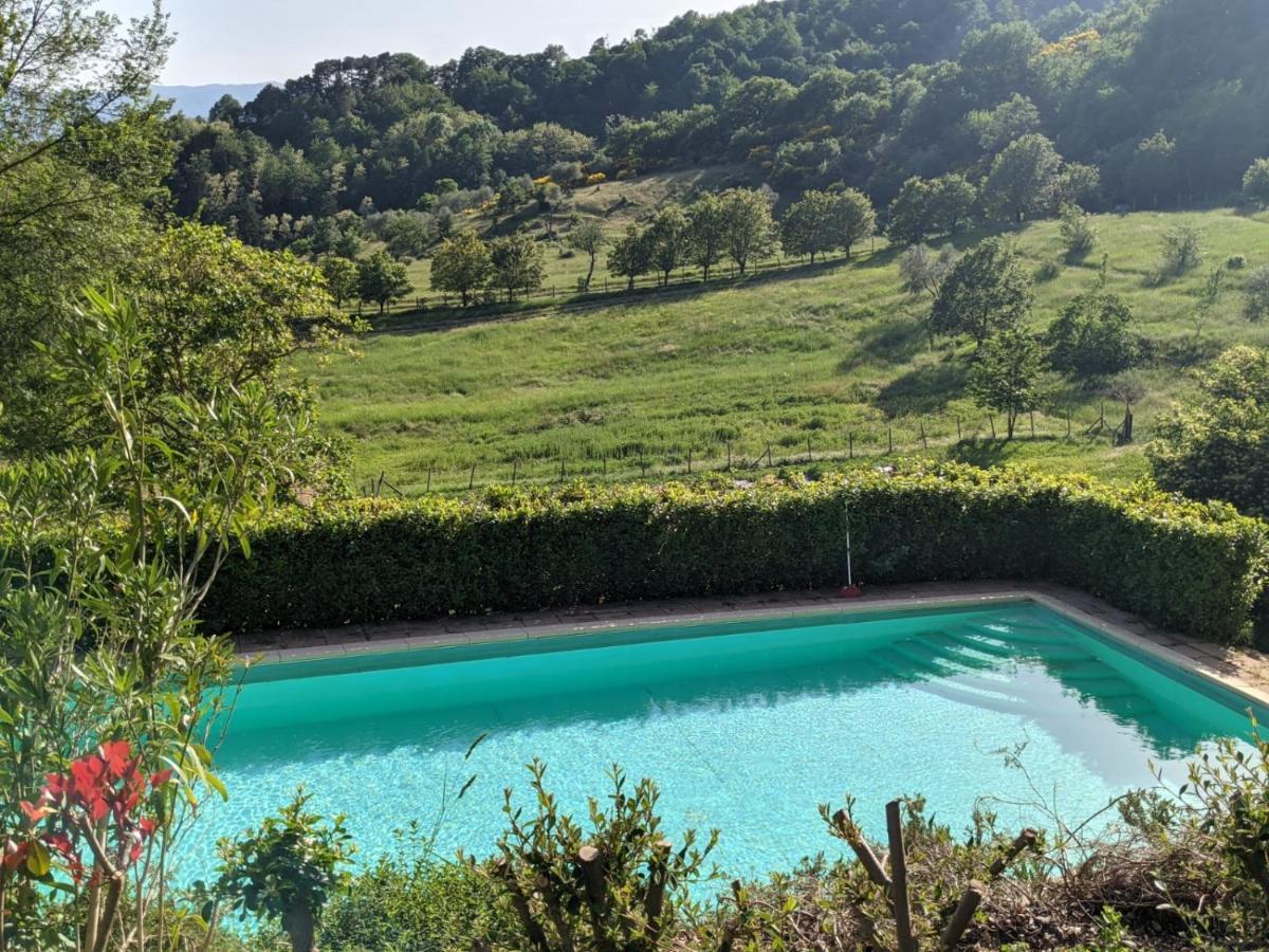 Agriturismo Casentino - Fattoria Ventrina Martina Exterior photo