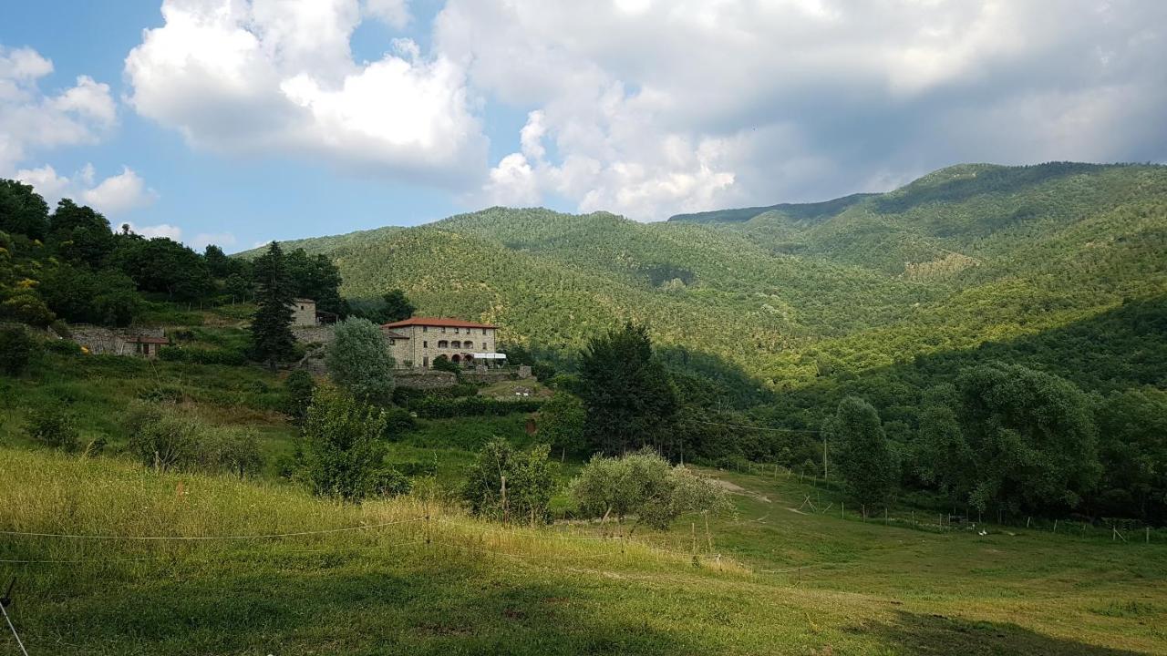 Agriturismo Casentino - Fattoria Ventrina Martina Exterior photo